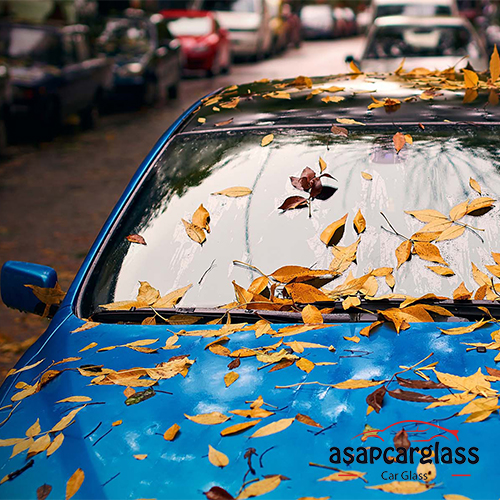 Set up your windscreen for fall